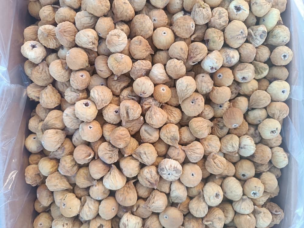 انجیر دست چین + با خرید ویژه